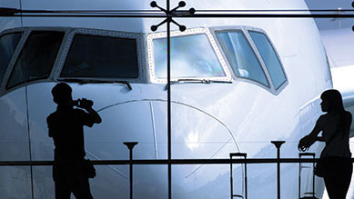 Travel Surveys